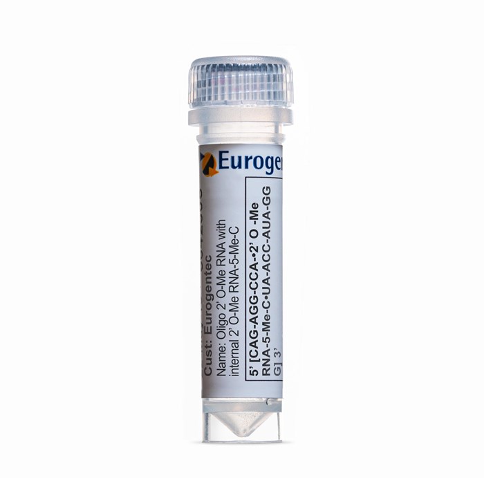 Example of a tube containing an Oligonucleotides with 2' O-Me RNA-5-Me-C  modification