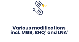 various-modifications
