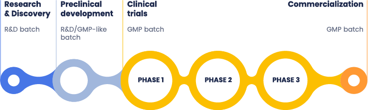 A flowchart illustrating the mRNA drug development process, divided into four stages: Research & Discovery (R&D batch), Preclinical Development (R&D/GMP-like batch), Clinical Trials with three phases (GMP batch), and Commercialization (GMP batch).