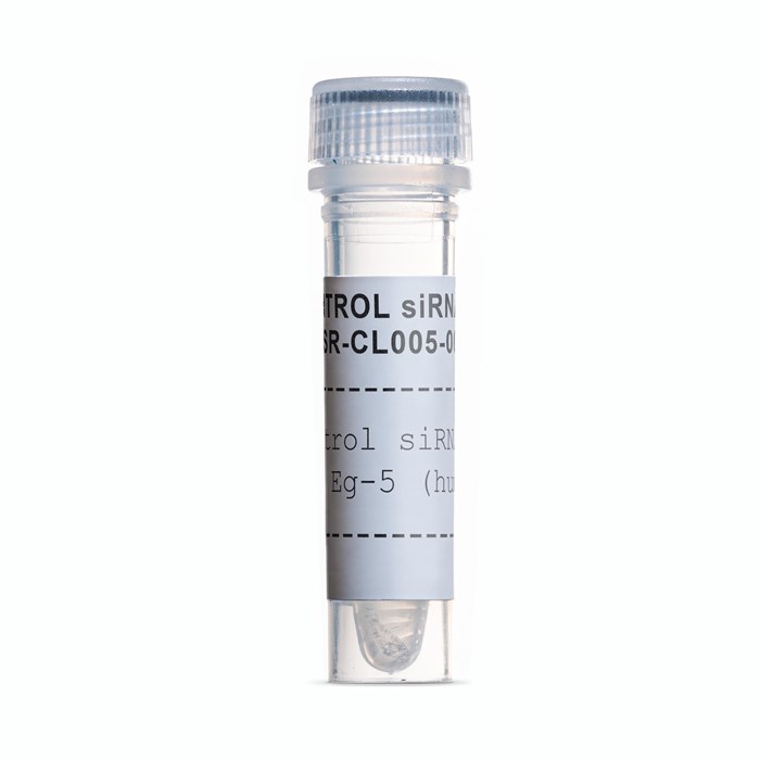 Tube of Control siRNA duplex Eg-5 (human)