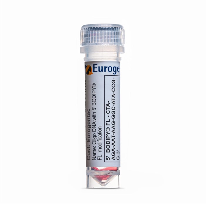 Example of a tube containing an Oligonucleotides with 5' BODIPY  FL  modification