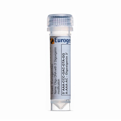 Example of a tube of an Oligonucleotide with 3' Digoxigenin modification