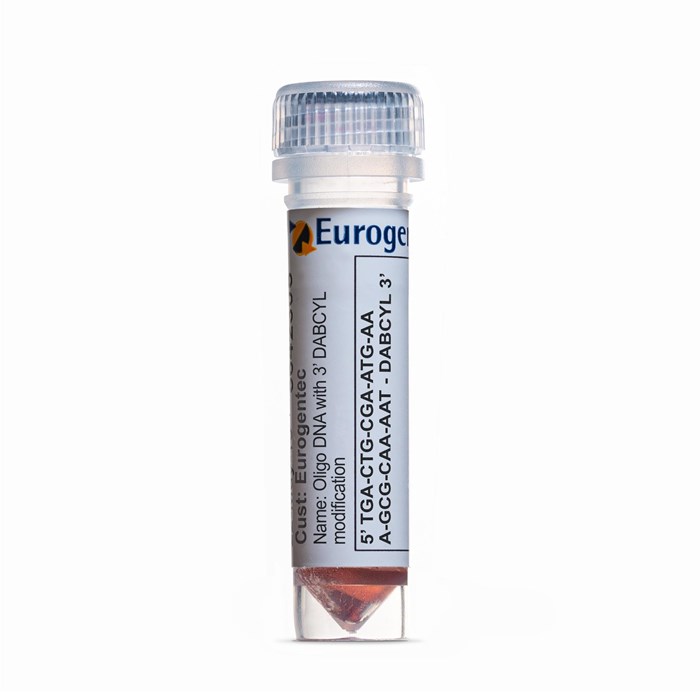 Example of a tube containing an Oligonucleotides with 3' DABCYL  modification