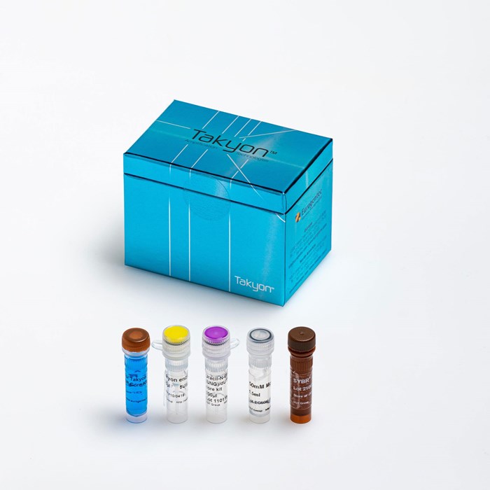 Image of a Takyon No Rox SYBR Core Kit blue dTTP