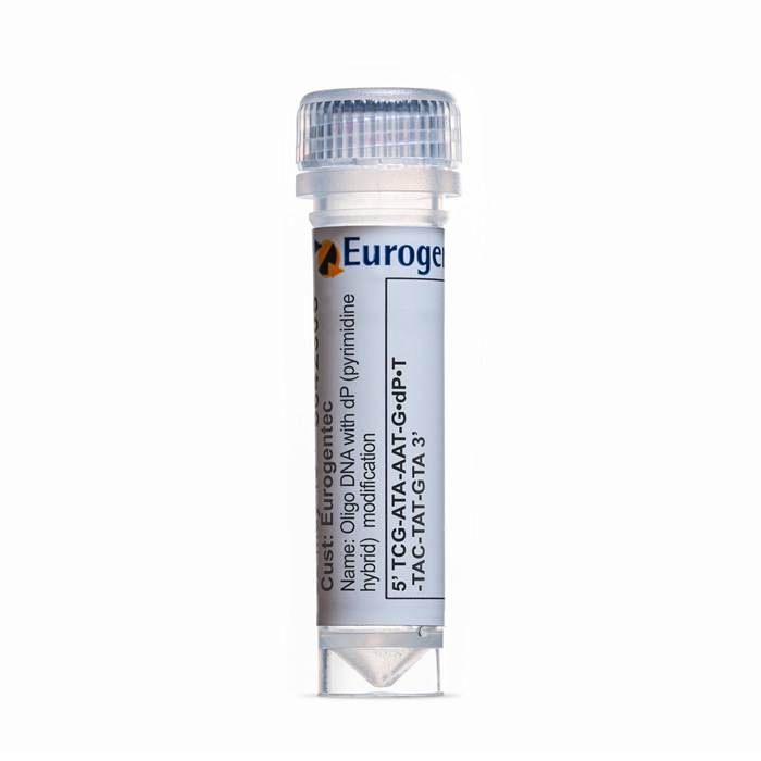 Example of a tube containing an Oligonucleotides with dP (pyrimidine hybrid)  modification