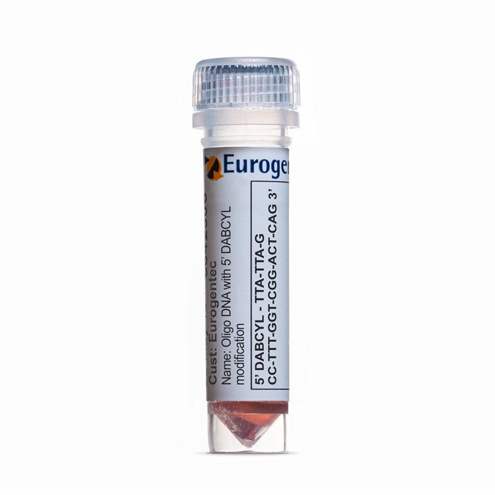 Example of a tube containing an Oligonucleotides with 5' DABCYL  modification