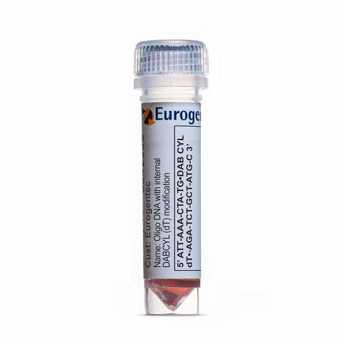 Example of a tube containing an Oligonucleotides with DABCYL (dT)  modification