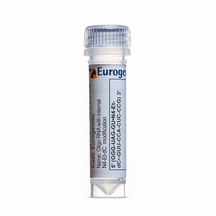 Example of a tube containing an Oligonucleotides with N4-Et-dC  modification