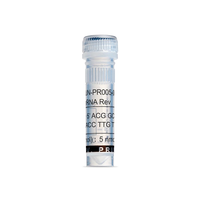 Tube of 16S rRNA Reverse Primer